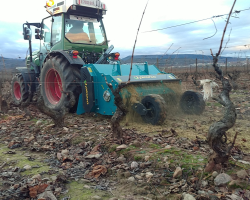 Vineyard shredders